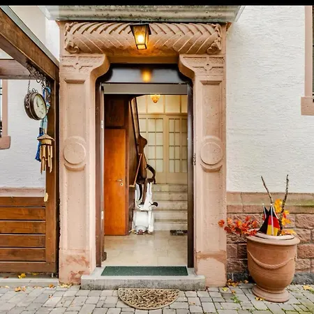 Worms City Apartment 公寓 *