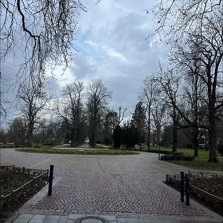 公寓 Worms City Apartment